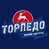 Анонс матча «Торпедо» - «Северсталь»