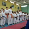 Нижегородские каратисты заняли девять призовых мест на турнире в Кинешме