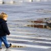 В России увеличат штраф за непропущенных пешеходов