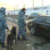 В Нижнем Новгороде введён план «перехват»
