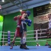 Первенство России вооруженных сил среди юниоров по боксу