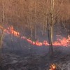 Пожароопасный сезон в южной части Нижегородской области может начаться уже 17 апреля