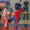 В Володарском ФОКе прошёл четвёртый открытый кубок среди клубов Нижегородской области по кикбоксингу на призы братьев Сироткиных