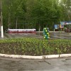 Дети - цветы парка