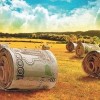 Господдержку сельского хозяйства в Нижегородской области увеличат