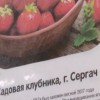 Сезон арбузов стартовал еще в июле, но многие не рискуют покупать большую ягоду до августа