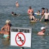 На 14 августа только на одном городском пляже вода соответствует санитарным нормам