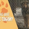 Телерадиокомпании «ННТВ» запускает цикл программ «Забери меня с собой»