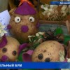 В Арзамасском районе прошёл традиционный картофельный фестиваль Картофельный БУМ