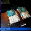 Полицейские Нижнего Новгорода предотвратили попытку сбыта наркотиков в крупном размере