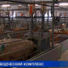 Свиноводческий комплекс откроют в Нижегородской области в следующем году