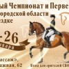 Региональный турнир по выездке - Личный чемпионат и Первенство Нижегородской области - состоится сегодня в манеже конно-спортивного комплекса «Пассаж»