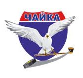 Сайт нижегородской чайки. Нижегородская Чайка хк. Логотип хоккейной команды с чайкой. Чайка эмблема. Чайка хоккейный клуб логотип.