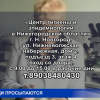 На сегодня 12 нижегородцев пострадали от укуса клещей