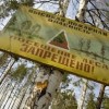 Особый противопожарный режим установлен в лесах Нижегородской области в связи с наступившим потеплением