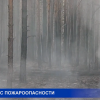 4 класс пожароопасности лесов и торфяников установлен с 14 по 18 мая в Нижегородской области