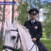 Нижний Новгород вместе с пешими сотрудниками патрулируют  наряды конной полиции.