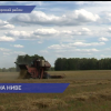 Урожайность сельскохозяйственных культур в Нижегородской области