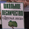 Юные нижегородские лесничие провели второй региональный слёт