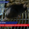 Разработать персонализированный подход к терапии рака планируют нижегородские ученые.