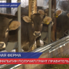 Нижегородский фермер получил государственную .поддержку