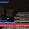 Расхитители леса задержаны в Нижегородской области