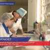 В Нижегородской области растет заболеваемость гриппом и ОРВИ