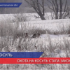 В Нижегородской области косуль считают новым методом