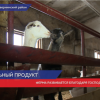 Овцеводство и козоводство получат поддержку в Нижегородской области