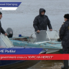 Рыбохотнадзор в рейде по незаконной рыбной ловле