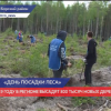 Всероссийская акция День посадки лесапроходит в Нижегородской области