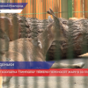 Обитатели зоопарка Лимпопо тяжело переносят жару