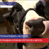 Сегодня отмечается «День поля Нижегородской области»