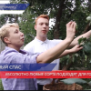 Сегодня православные христиане отмечают Яблочный Спас или Преображение Господне