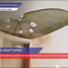 Протопило квартиры в доме №160 по улице Коминтерна в Нижнем Новгороде
