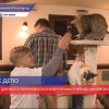 Воспитанники фонда «Жизнь без границ» побывали в приюте «Мурррчим» в Нижнем Новгороде