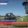 В Городецком районе полным ходом идут уборочные работы