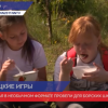«Молодецкие игры» состоялись в Борском районе