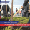 Деревья дружбы появились на Стрелке в Нижнем Новгороде