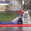 Отремонтировали тротуар на улице Школьной по просьбам жителей