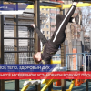 Появились современные воркаут-площадки в Выксе и поселке Северном Варнавинского района