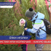 Праздничные елочные базары открылись в семи районах Нижнего Новгорода