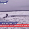 Нижегородцам, спасшим провалившегося под лед лося, вручили награды