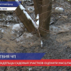 Владельцы затопленных фекальными водами дач подсчитывают ущерб