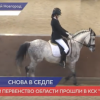 В Нижнем Новгороде прошел областной чемпионат по выездке.