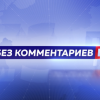 Утки активизировались после зимы в нижегородском зоопарке