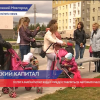 Материнский капитал будут оформлять автоматически