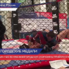 Шесть медалей завоевали нижегородские спортсмены на турнире по ММА