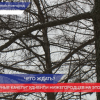 Температурные качели могут сохраниться в Нижегородской области в апреле