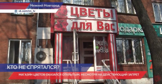 Магазин Тв Нижний Новгород